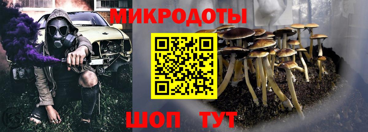 Псилоцибиновые грибы Psilocybe Уссурийск