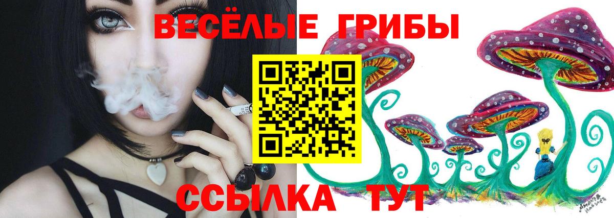 Псилоцибиновые грибы Magic Shrooms  Галлюциногенные грибы Cubensis  Вход с VPN  Уссурийск 